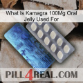 What Is Kamagra 100Mg Oral Jelly Used For 34